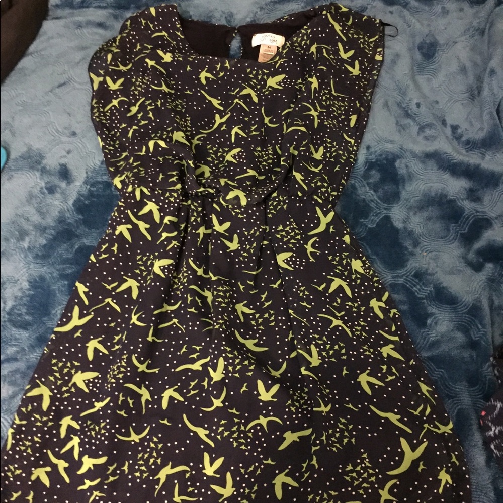 Dresses